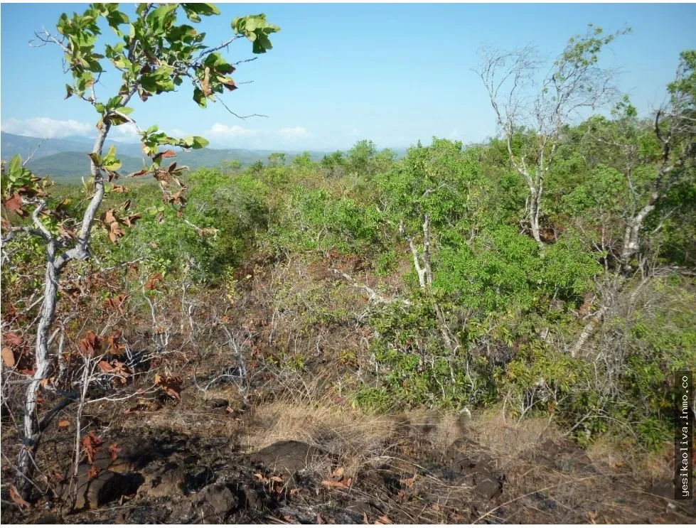 Land Sale in Calobre