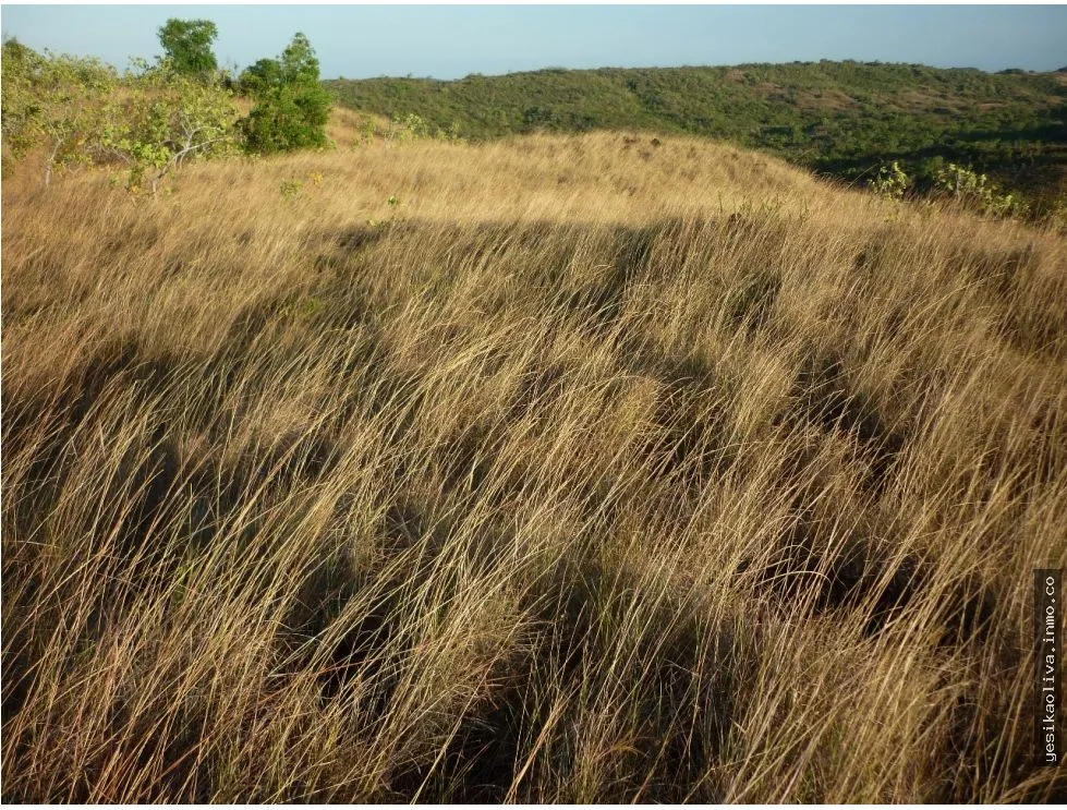 Land Sale in Calobre