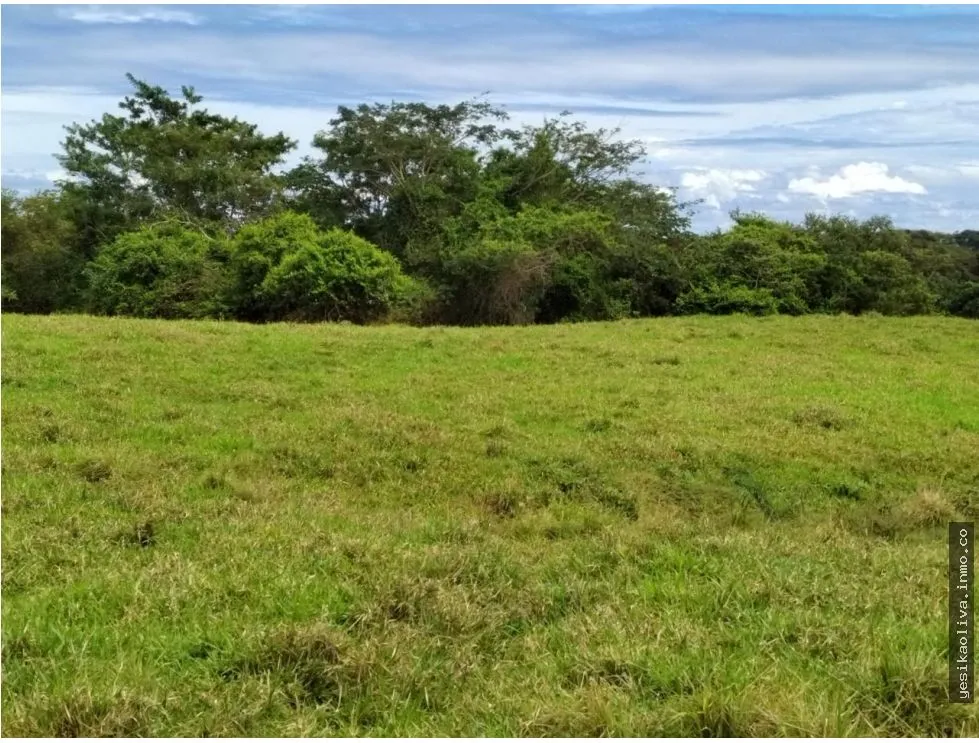 Venta de Lotes en Los Destiladeros, Pedasí
