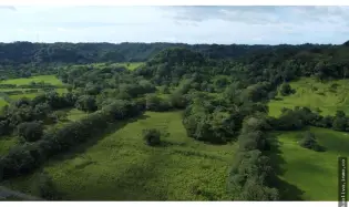 Venta o Alquiler de terreno en Colón, Achiotes