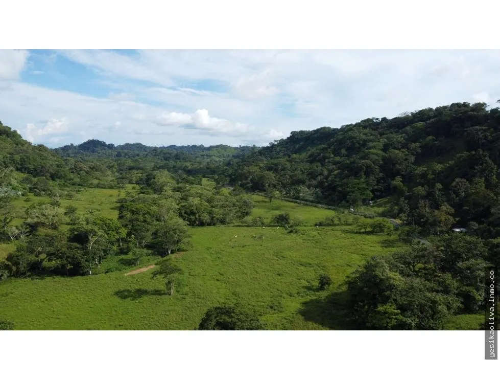 Venta o Alquiler de terreno en Colón, Achiotes
