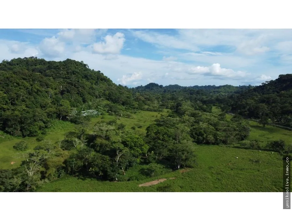 Venta o Alquiler de terreno en Colón, Achiotes