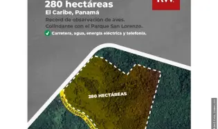 Venta o Alquiler de terreno en Colón, Piña