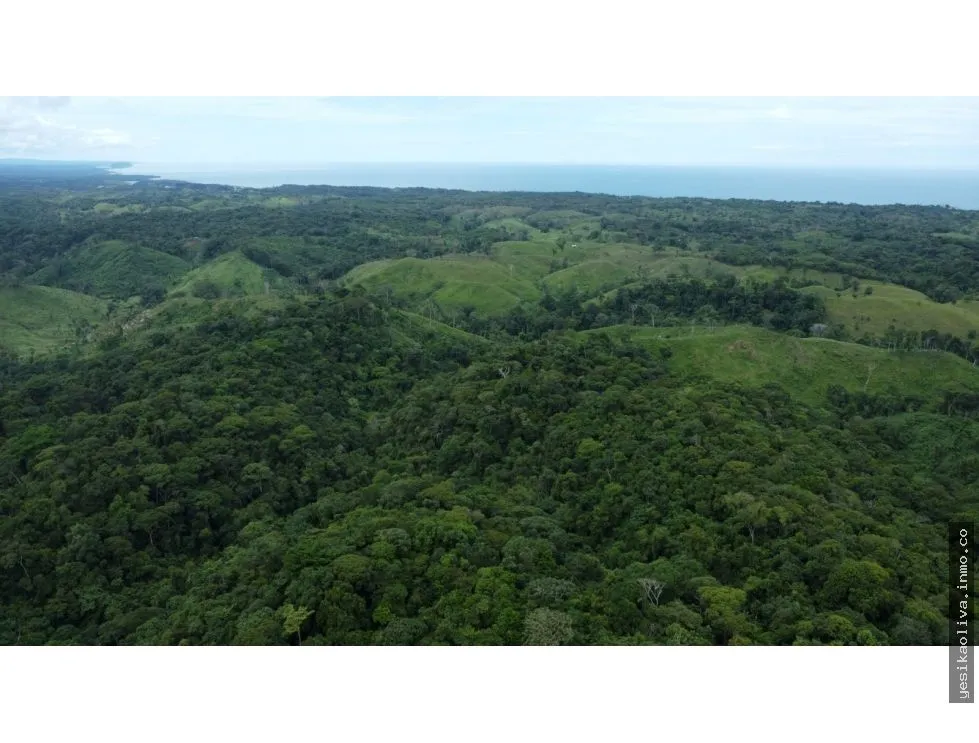 Venta o Alquiler de terreno en Colón, Piña