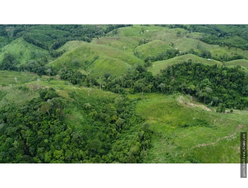 Venta o Alquiler de terreno en Colón, Piña