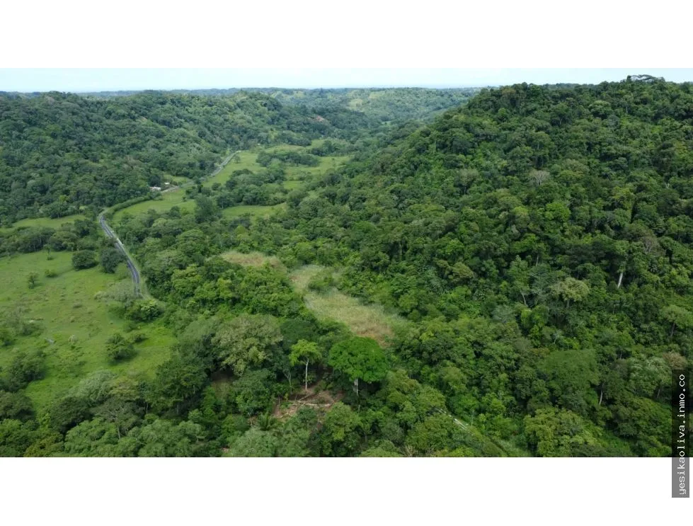 Venta o Alquiler de terreno en Colón, Piña