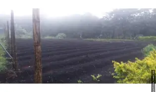 Venta de Terreno en Chiriquí