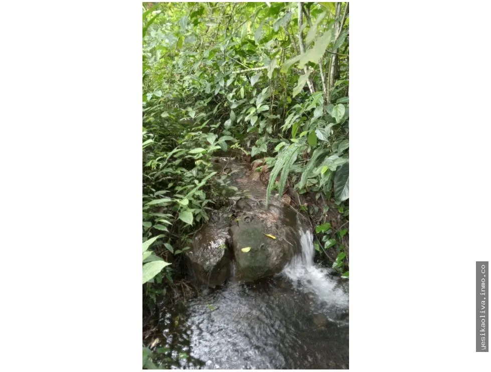 Venta de Terreno en Chiriquí