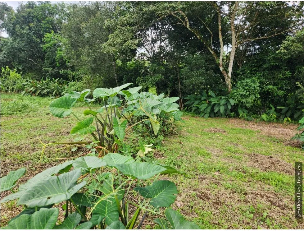 Venta de Terreno en Chiriquí