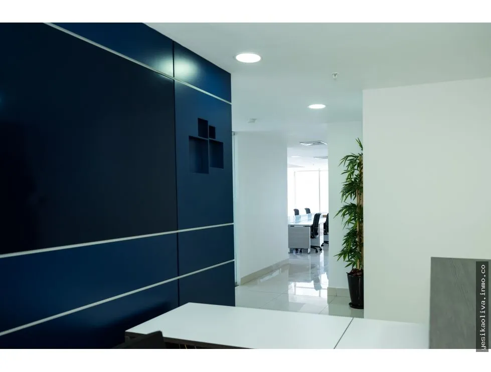Alquiler de Oficinas en Avenida Balboa