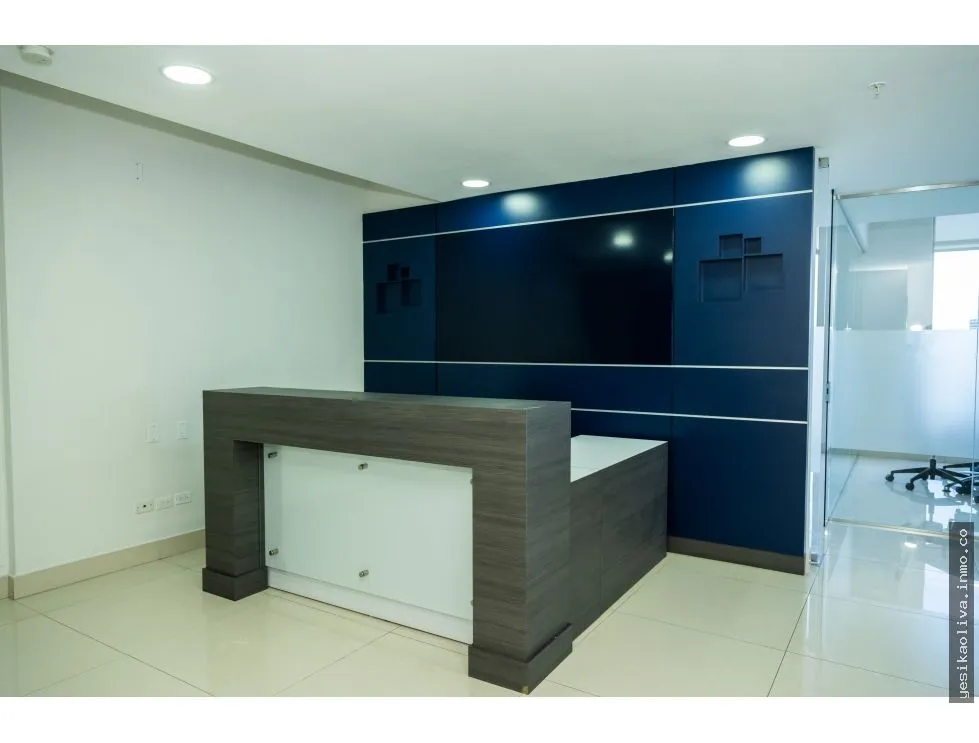 Alquiler de Oficinas en Avenida Balboa