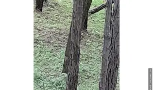 Terreno en Venta, Altos del Maria