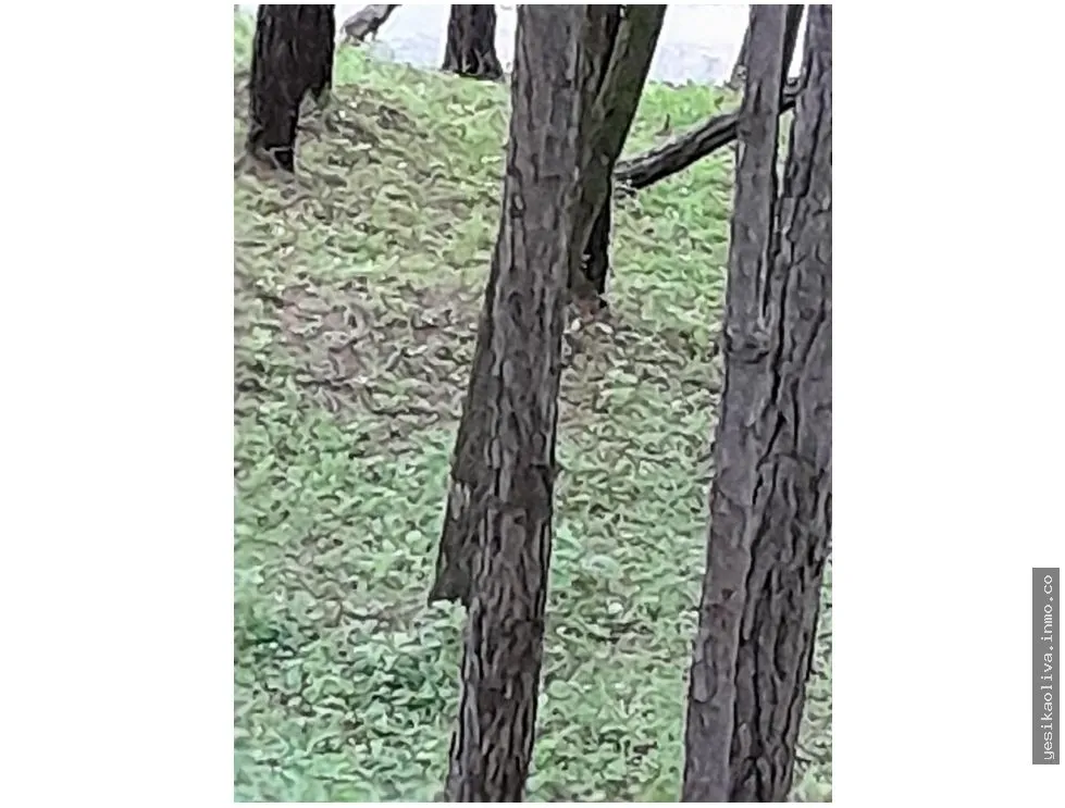 Terreno en Venta, Altos del Maria