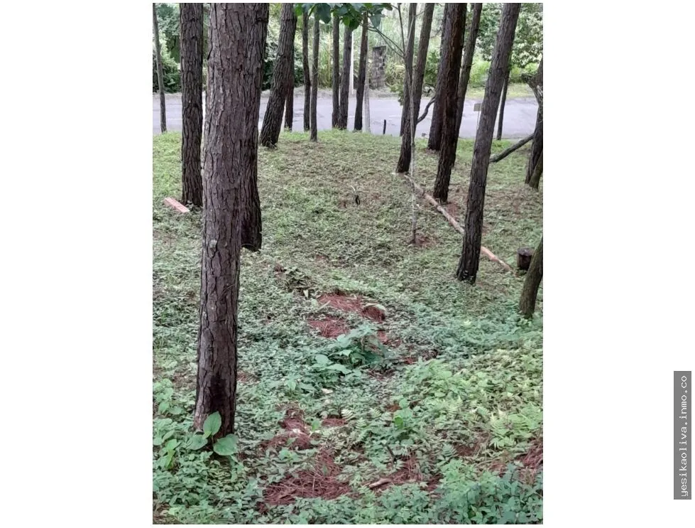 Terreno en Venta, Altos del Maria