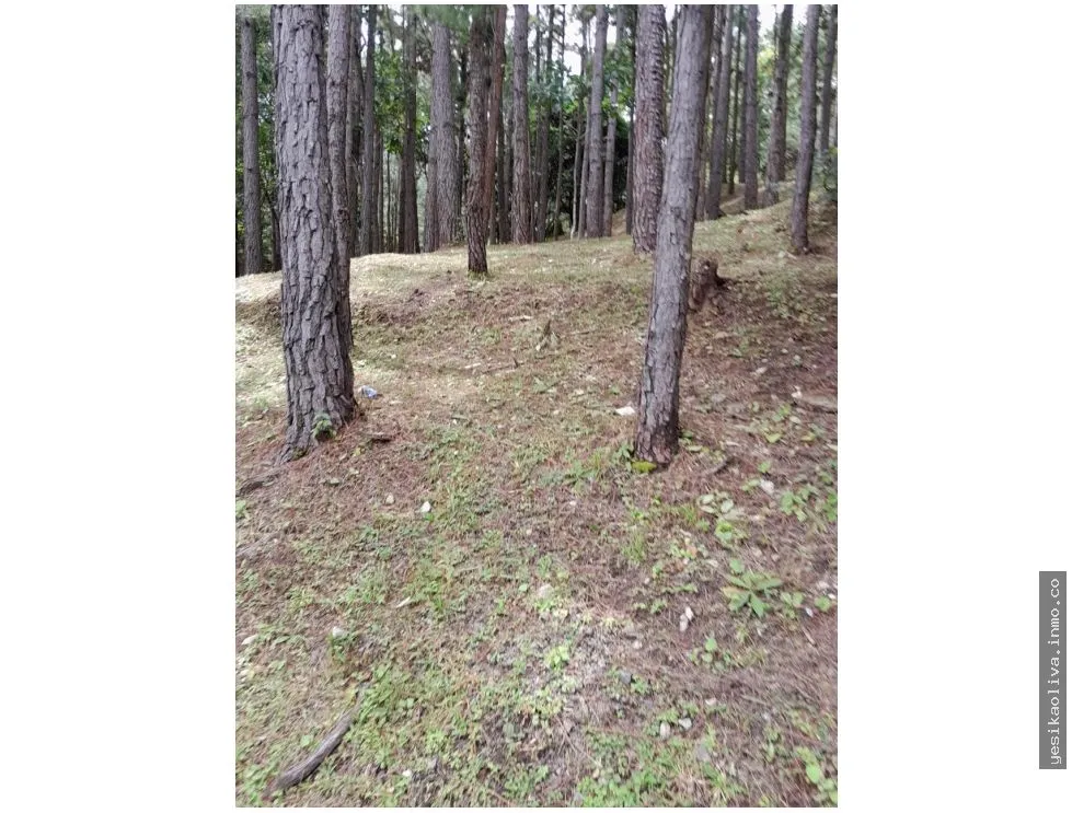 Terreno en Venta, Altos del Maria