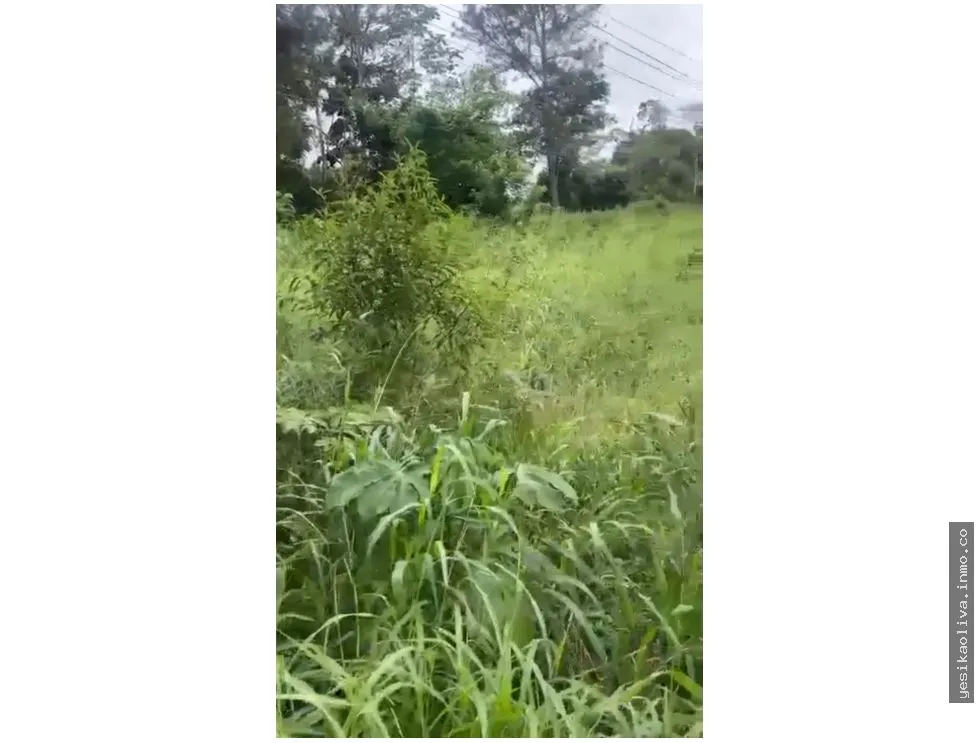 Terrain à bâtir à Chiriqui à vendre