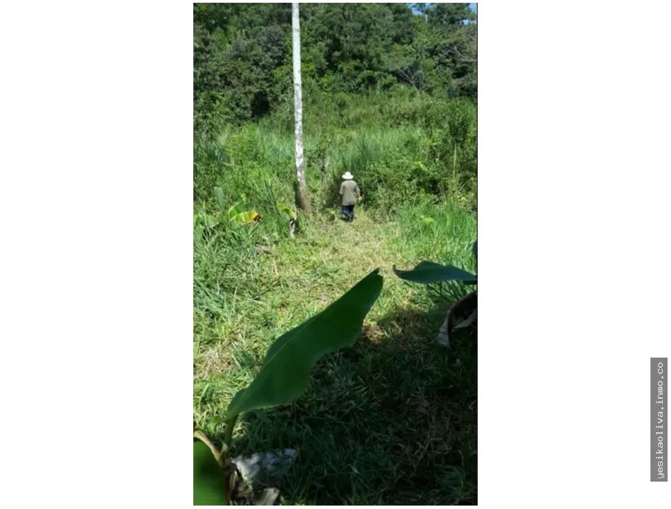 Строительный участок в Chiriqui на продажу
