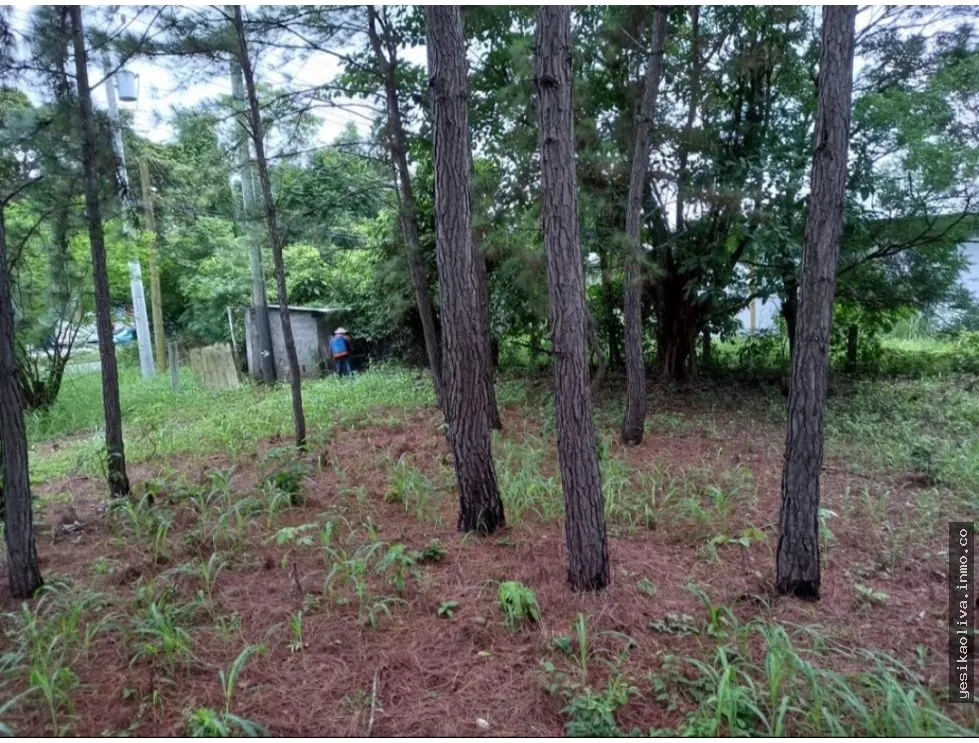 Land Sale in Capira, Panamerican Highway