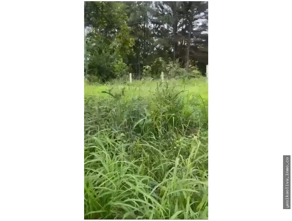 Land Sale in Capira, Panamerican Highway