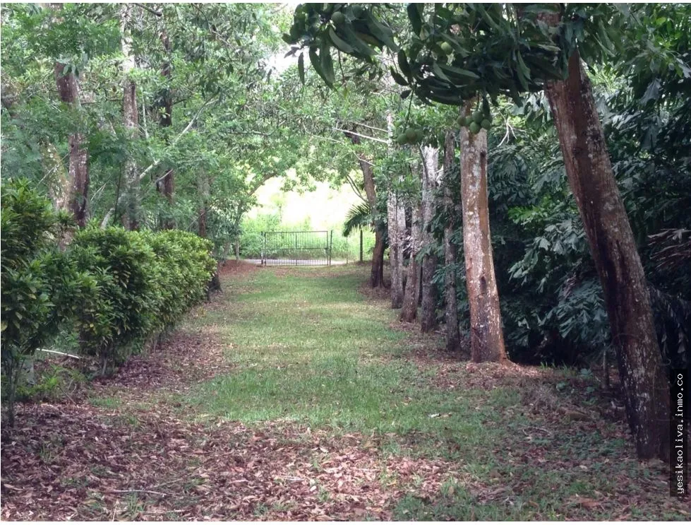 Oportunidad Venta de Terreno en El Lirio de La Chorrera