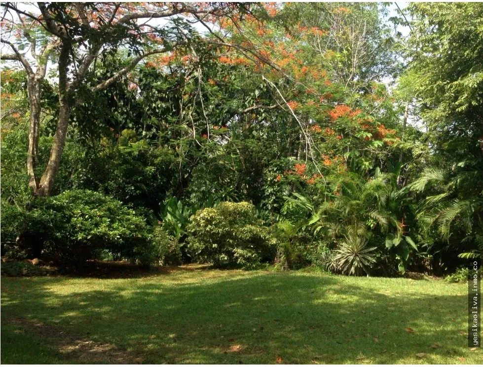 Oportunidad Venta de Terreno en El Lirio de La Chorrera