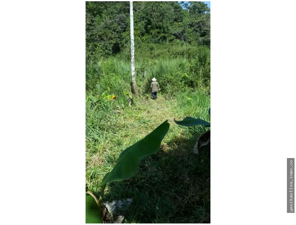 Oportunidad Venta de Terreno en El Lirio de La Chorrera