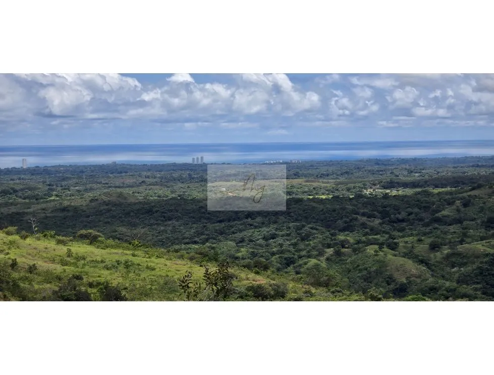TERRENO EN VENTA | CABUYA, CHAME