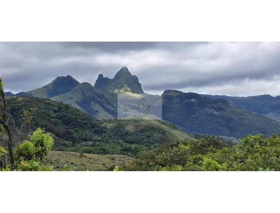 TERRENO EN VENTA | CABUYA, CHAME