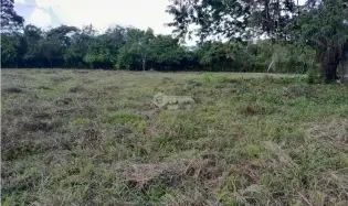 Building Lot for sale in Capira