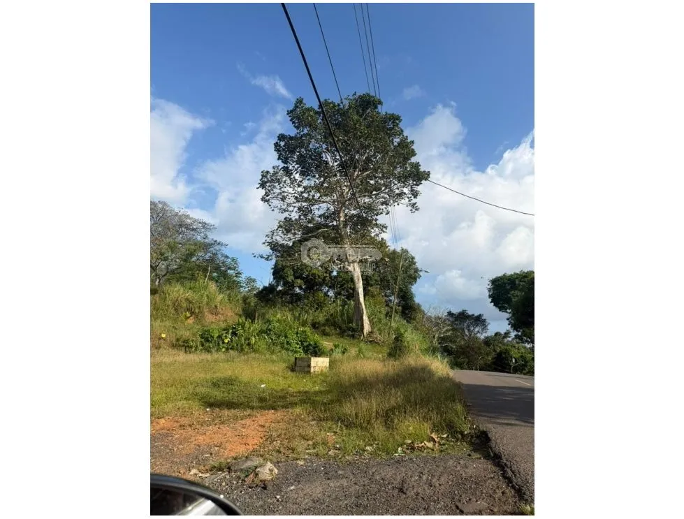 SE VENDE AMPLIO TERRENO 4.9 HECTAREAS EN ARRAIJAN VIA VALLE DEL SOL