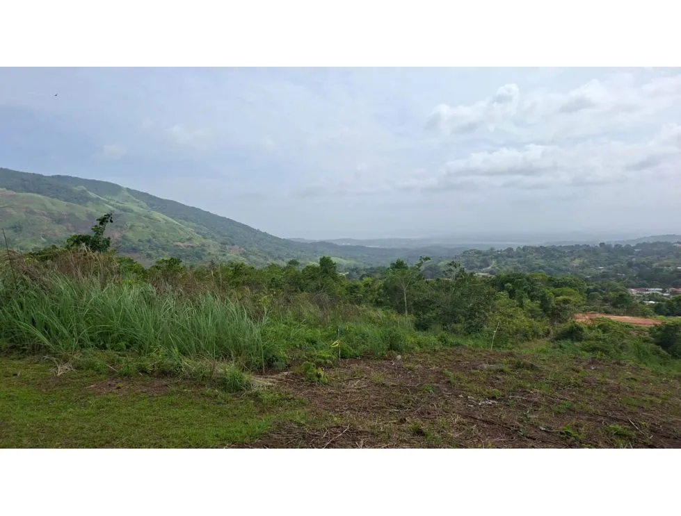 SE VENDE AMPLIO TERRENO 4.9 HECTAREAS EN ARRAIJAN VIA VALLE DEL SOL