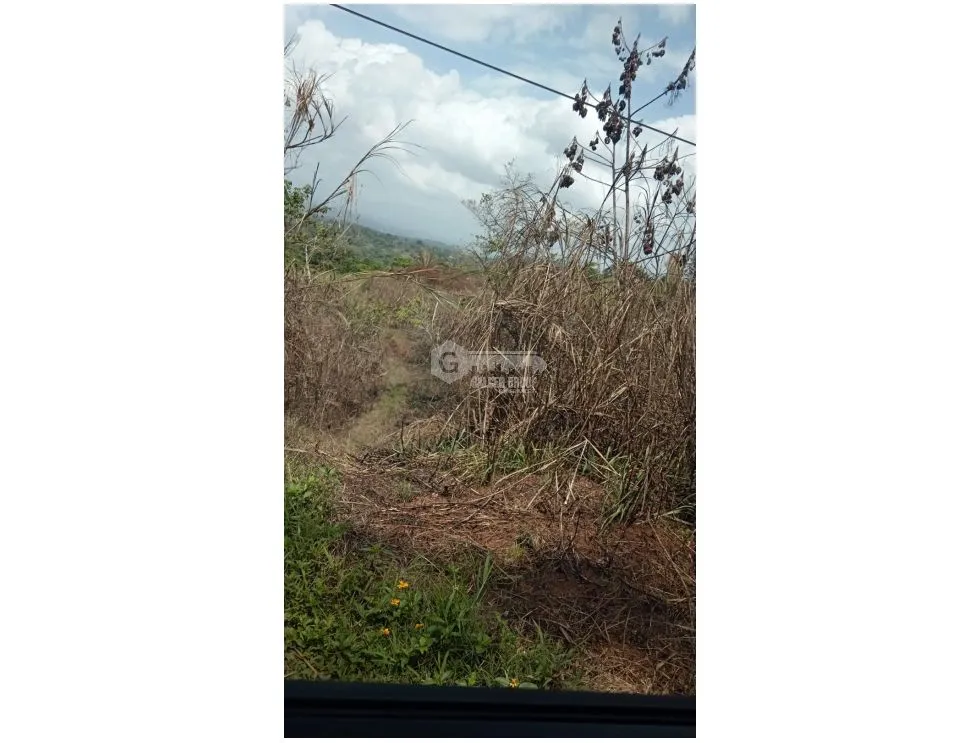SE VENDE AMPLIO TERRENO 4.9 HECTAREAS EN ARRAIJAN VIA VALLE DEL SOL