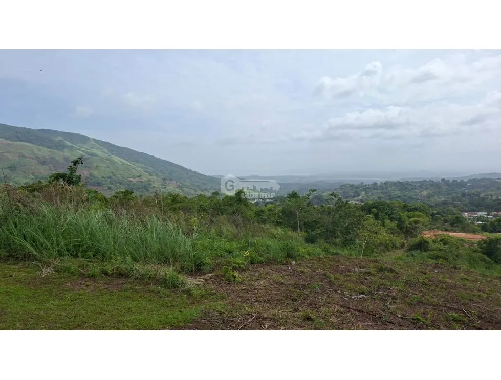 SE VENDE AMPLIO TERRENO 4.9 HECTAREAS EN ARRAIJAN VIA VALLE DEL SOL