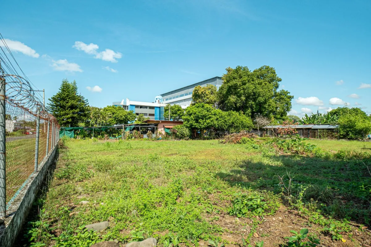 Terrenos para desarrollo en David, Panamá