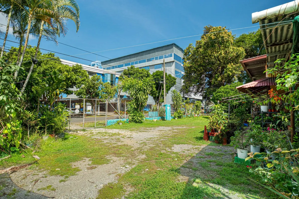 Terrenos para desarrollo en David, Panamá
