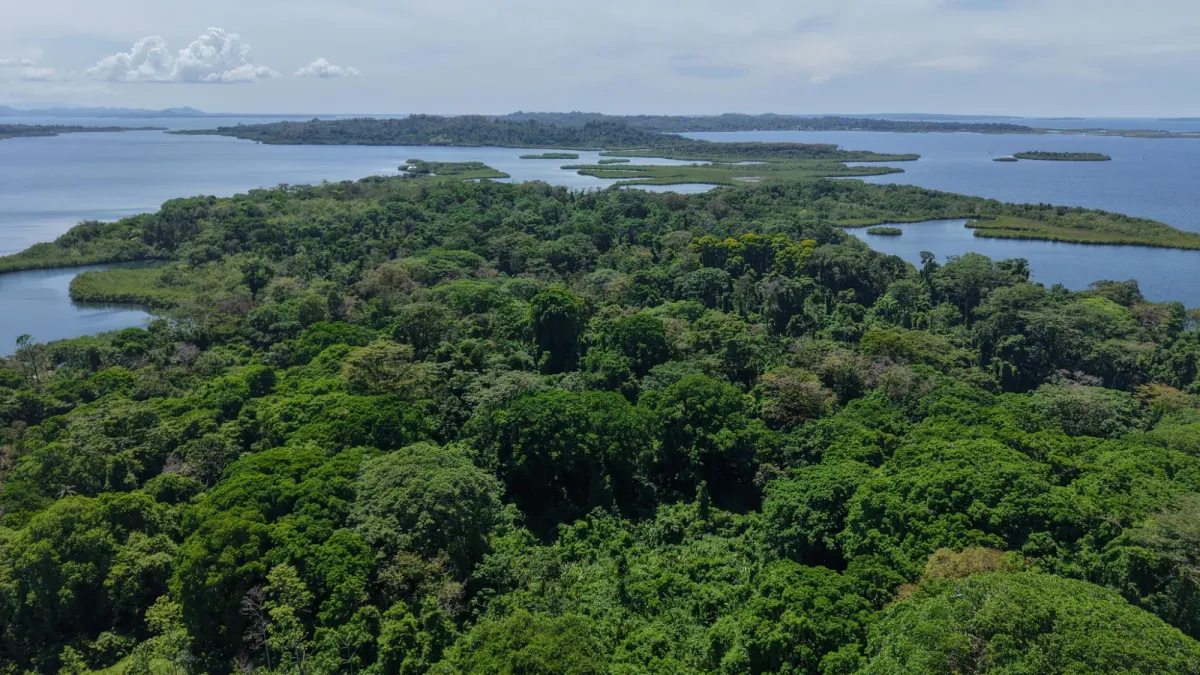 14-Hectare Cacao Farm Retreat in Tierra Oscura