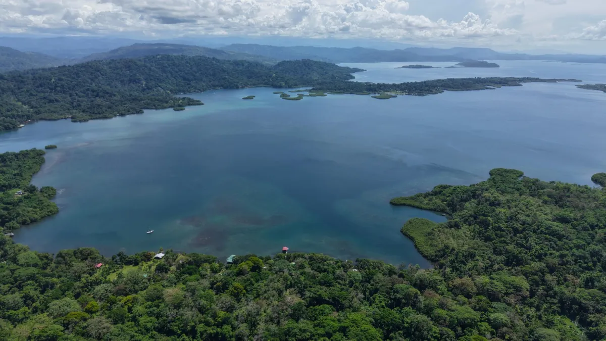 14-Hectare Cacao Farm Retreat in Tierra Oscura