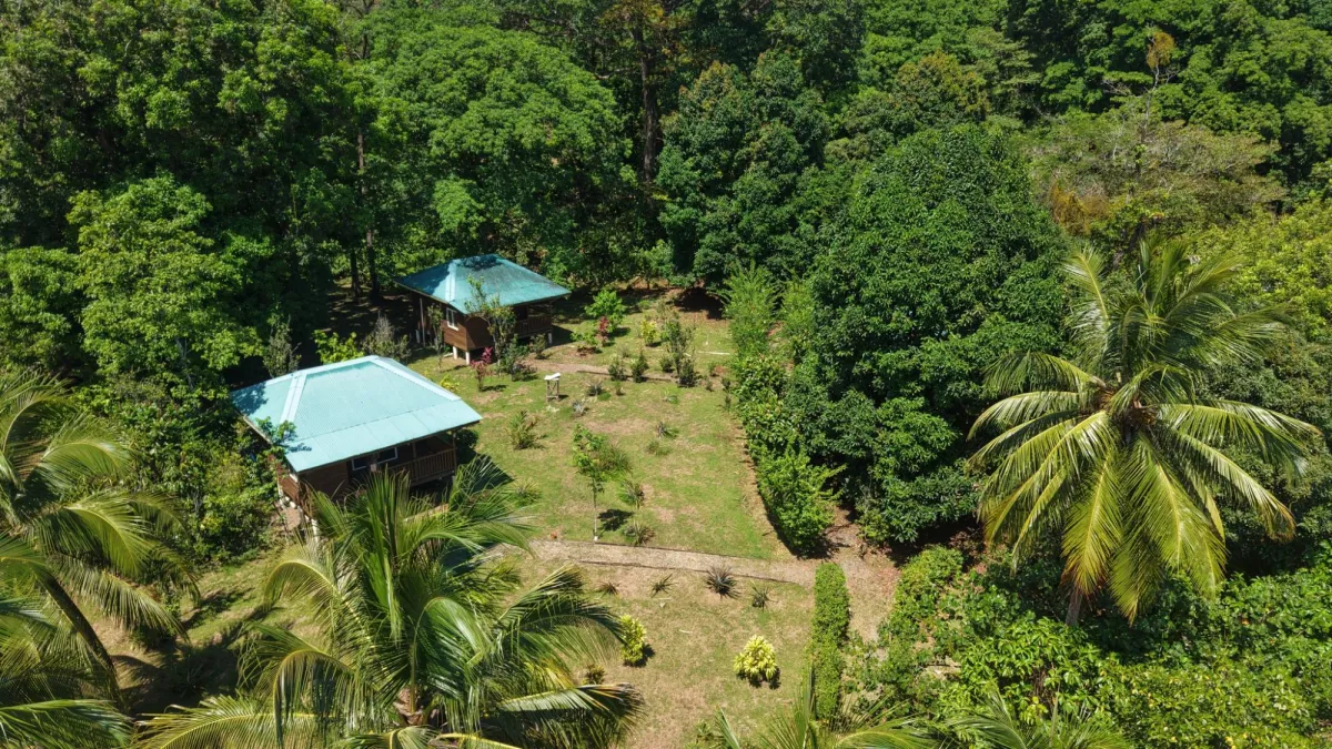 14-Hectare Cacao Farm Retreat in Tierra Oscura