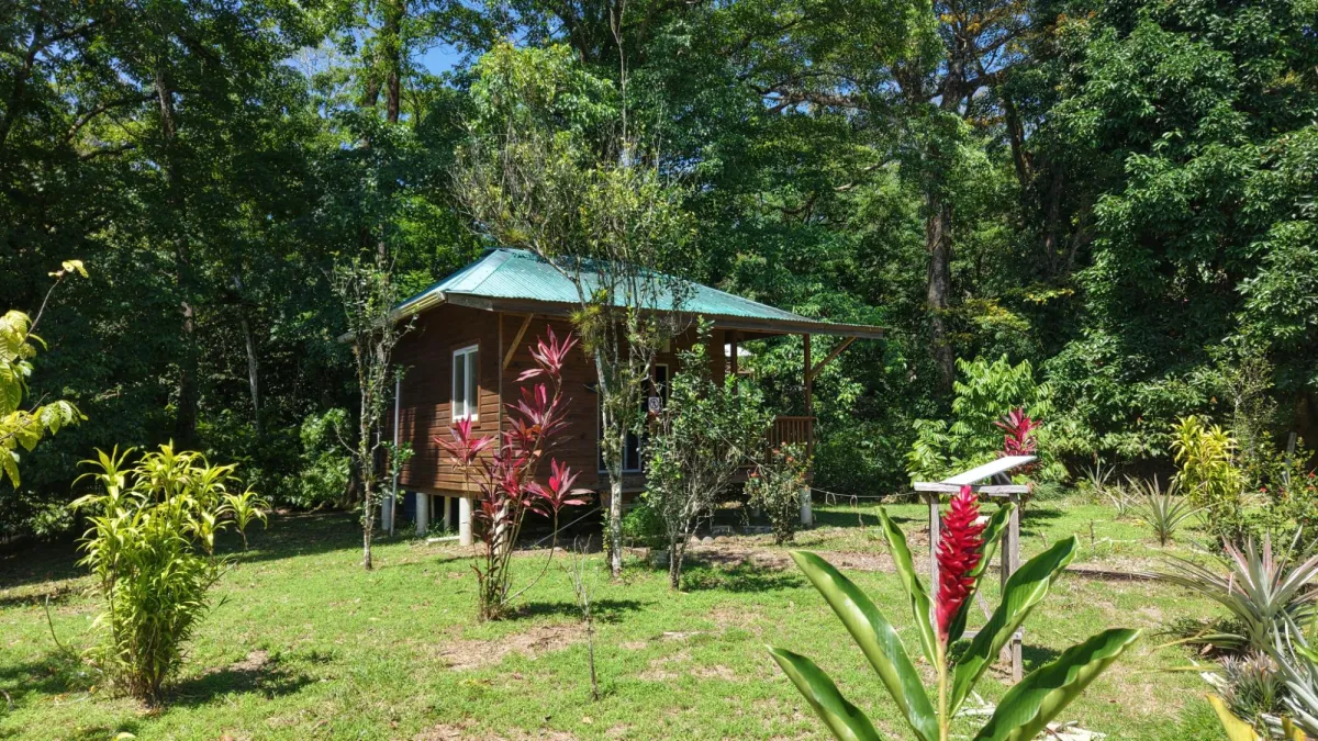 14-Hectare Cacao Farm Retreat in Tierra Oscura