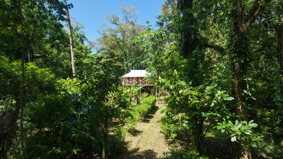 14-Hectare Cacao Farm Retreat in Tierra Oscura