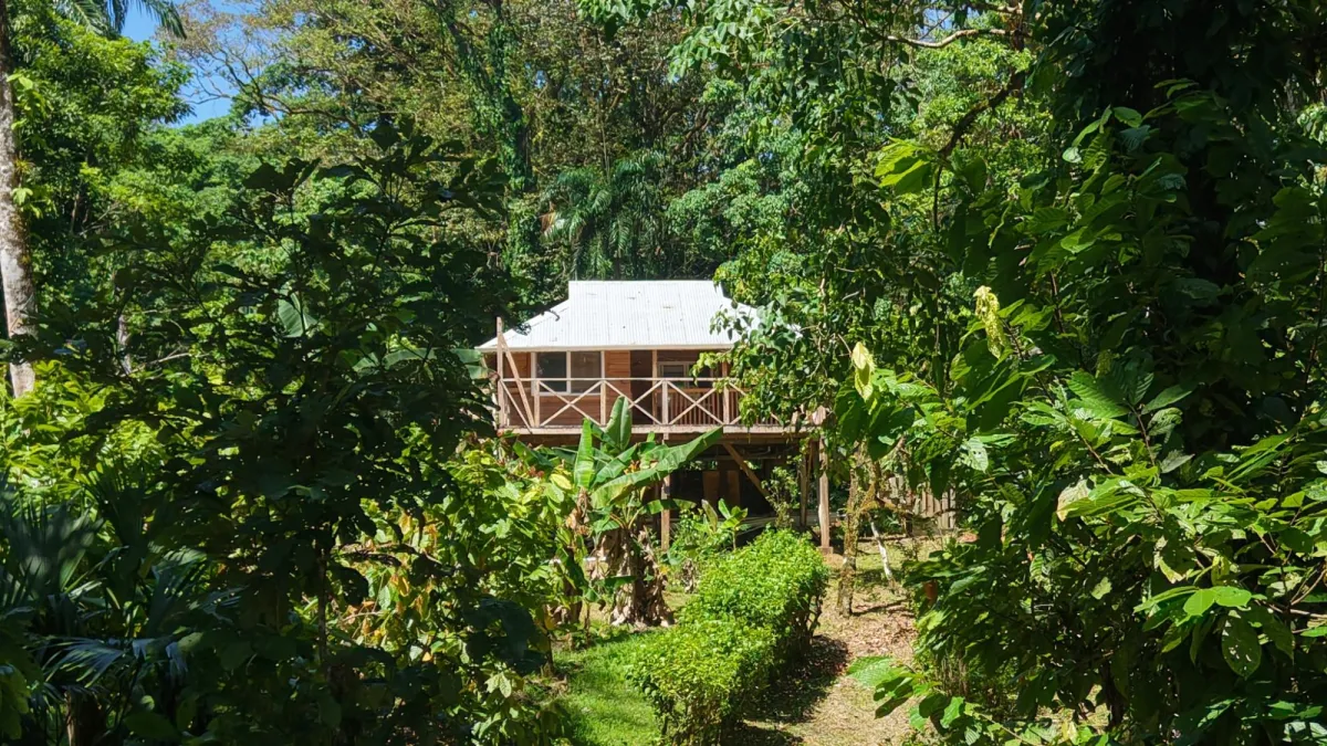 14-Hectare Cacao Farm Retreat in Tierra Oscura