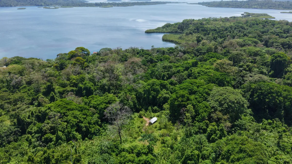 14-Hectare Cacao Farm Retreat in Tierra Oscura