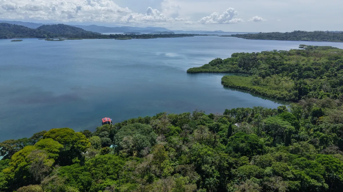 14-Hectare Cacao Farm Retreat in Tierra Oscura