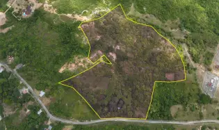 Land for Sale 9.9 Hectares in San Carlos