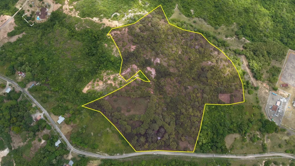 Land for Sale 9.9 Hectares in San Carlos