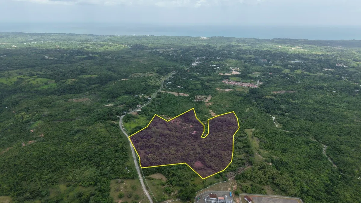 Land for Sale 9.9 Hectares in San Carlos