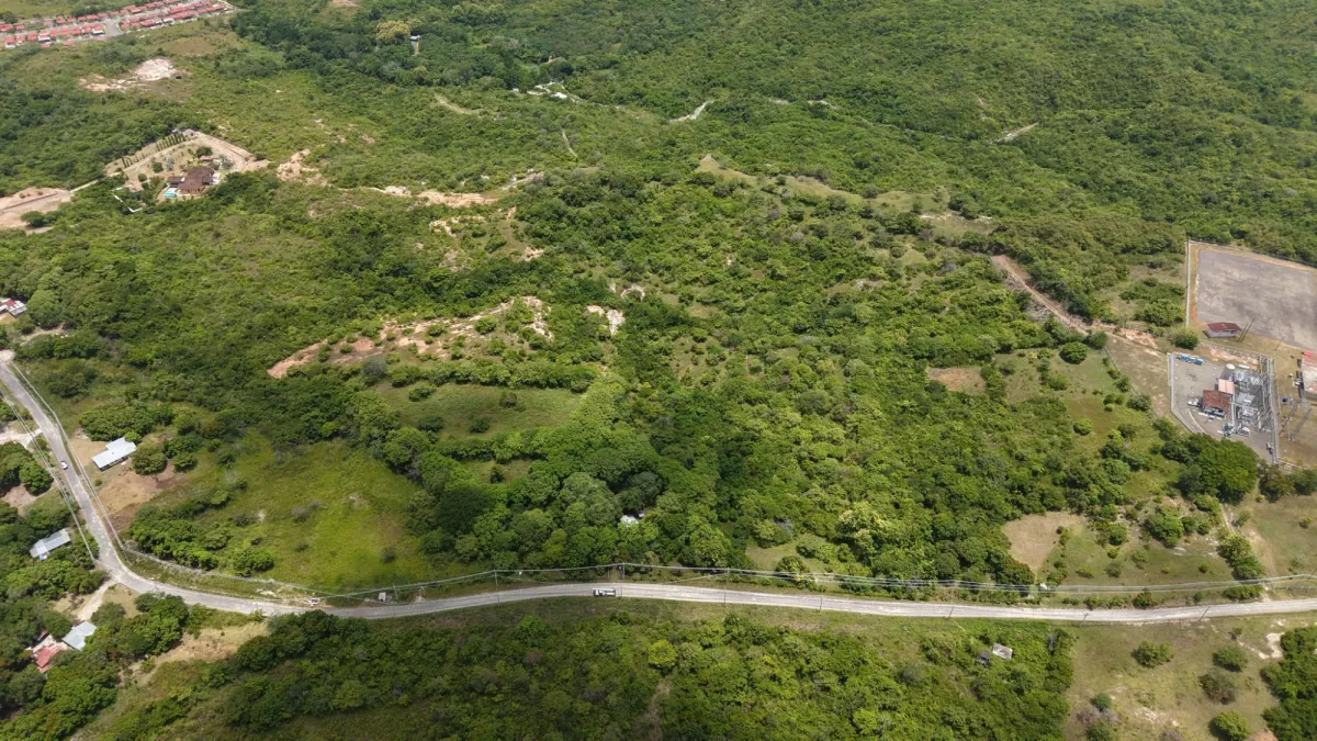Land for Sale 9.9 Hectares in San Carlos