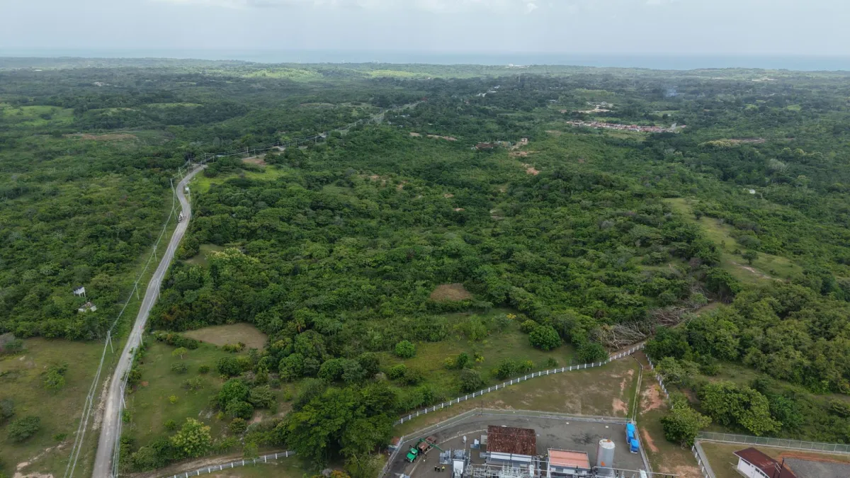 Land for Sale 9.9 Hectares in San Carlos