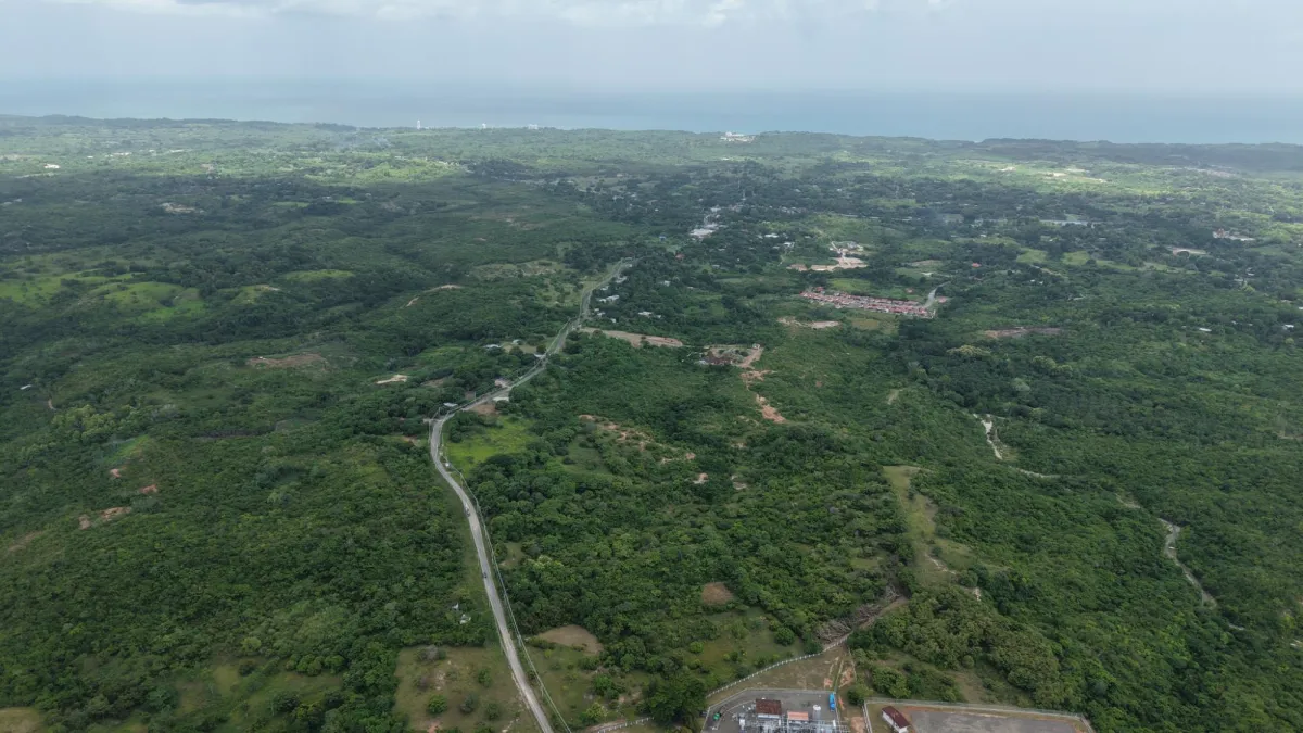 Land for Sale 9.9 Hectares in San Carlos