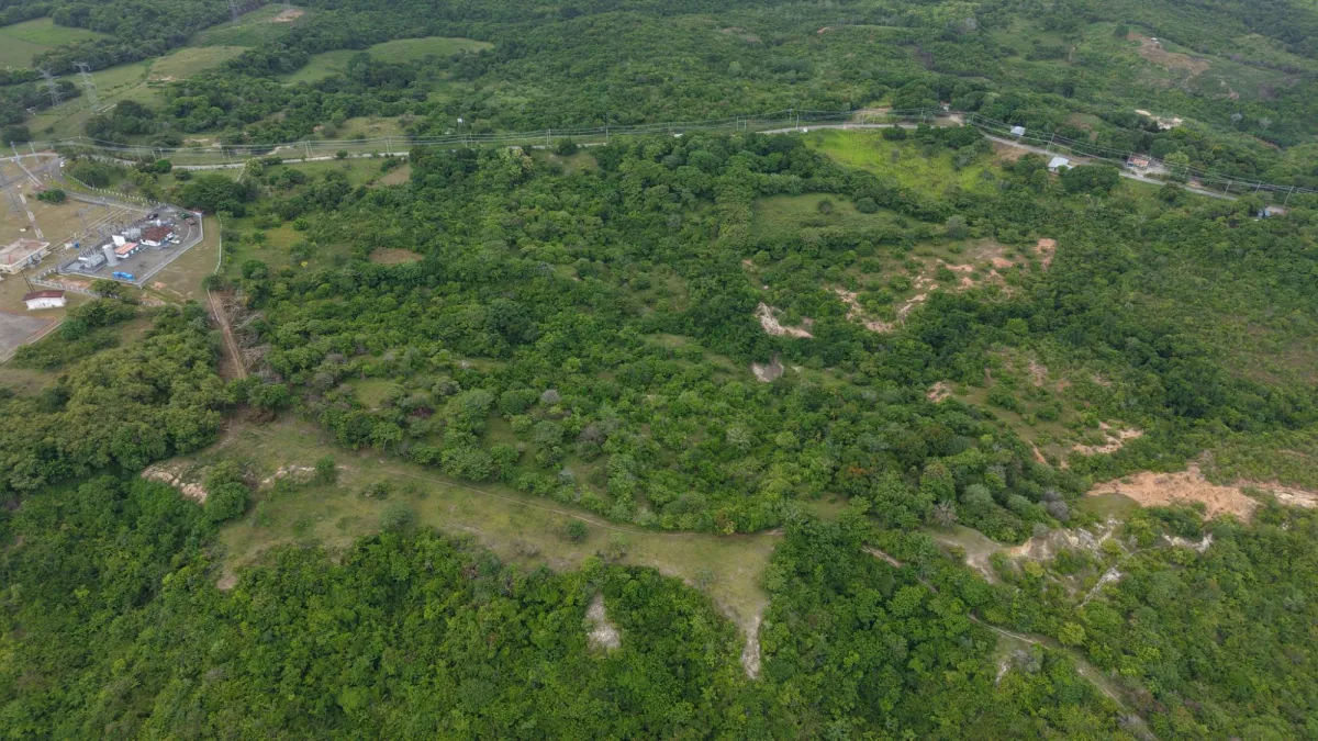 Land for Sale 9.9 Hectares in San Carlos